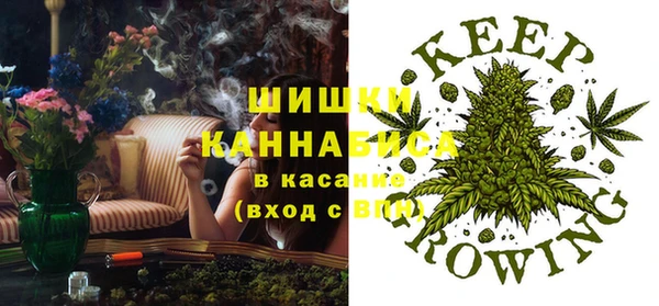 винт Аркадак