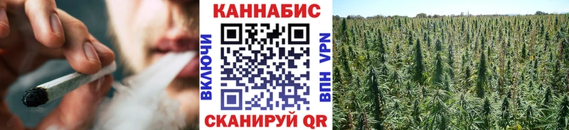 Шишки марихуана марихуана  Купить где  Сибай 